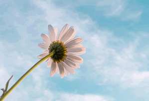 Bitcoin & Altcoins See Today's Rebound: Signal or Noise in the Prevailing Downturn?